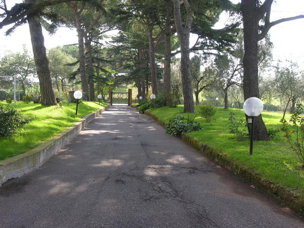 Vigna Licia Apartment Pomezia Bagian luar foto
